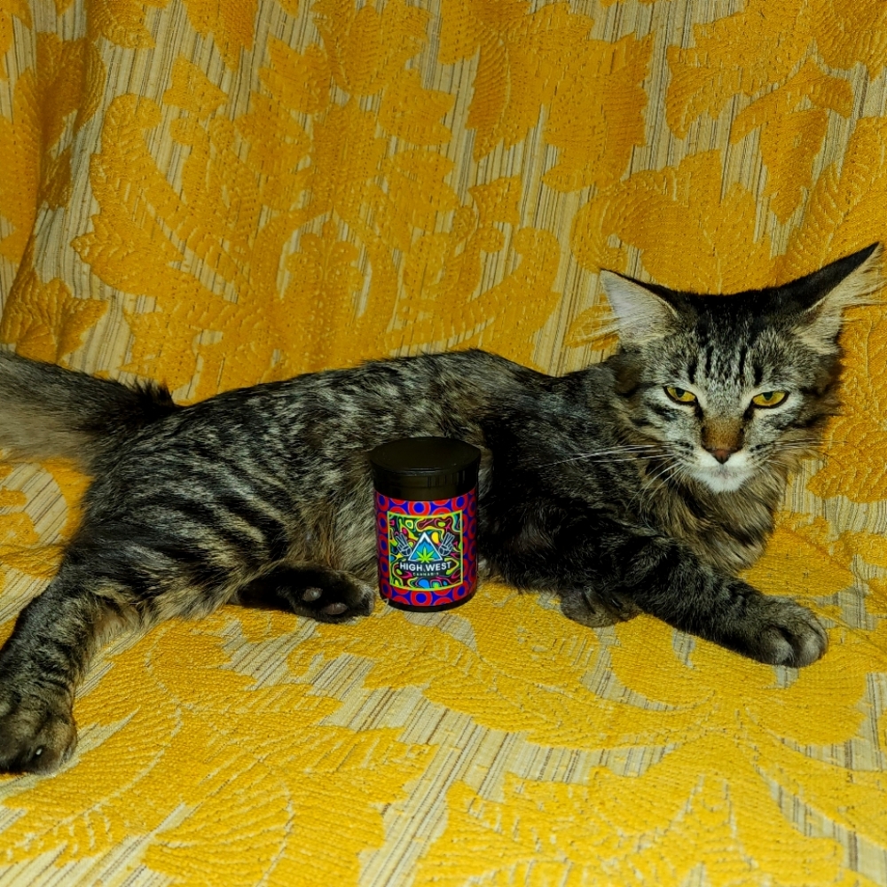 🍄Phish×High West🍄 Stash Jar